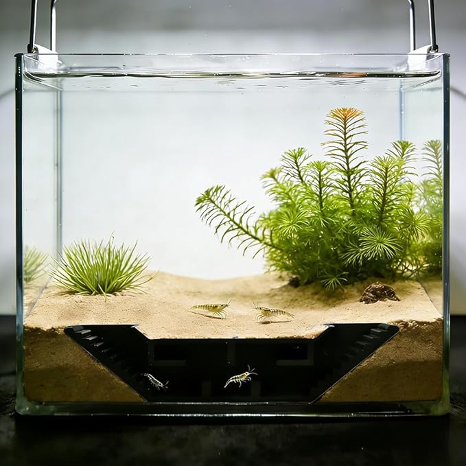 Aquarium Underground Tunnel, Fish & Shrimp Hideout, Fish Tank Decor Decoration Hideout Aquarium Shrimps Breeding Cave Perfect for Small Shrimp, Cherry Shrimp, Dwarf Shrimp (Color:Black)