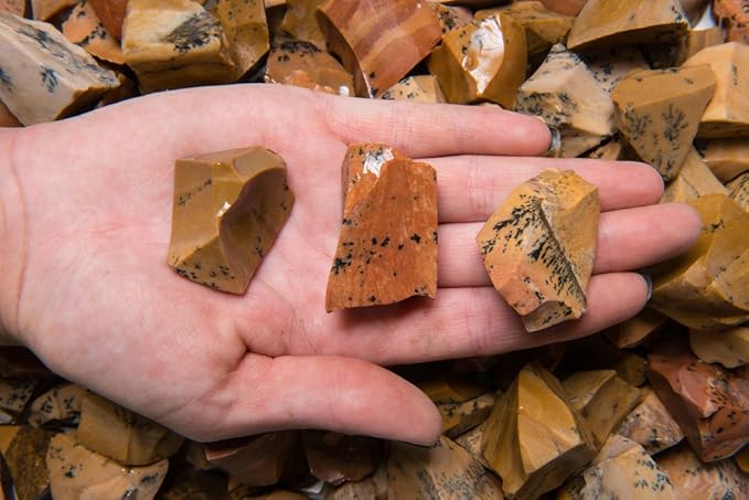 Fantasia Materials: 3 lbs Dendrite Tan Jasper Rough Stones from India