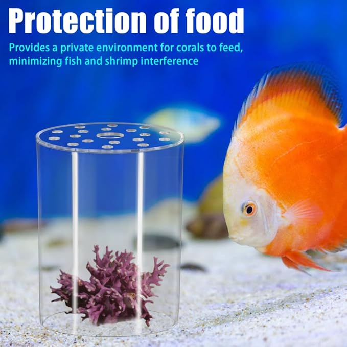 DONGKER Coral Feeder Cover, Transparent Acrylic Coral Breeding Protection Cover Avoid Food Floating Around for Aquarium Fish Tank(80mm,100mm,120mm)