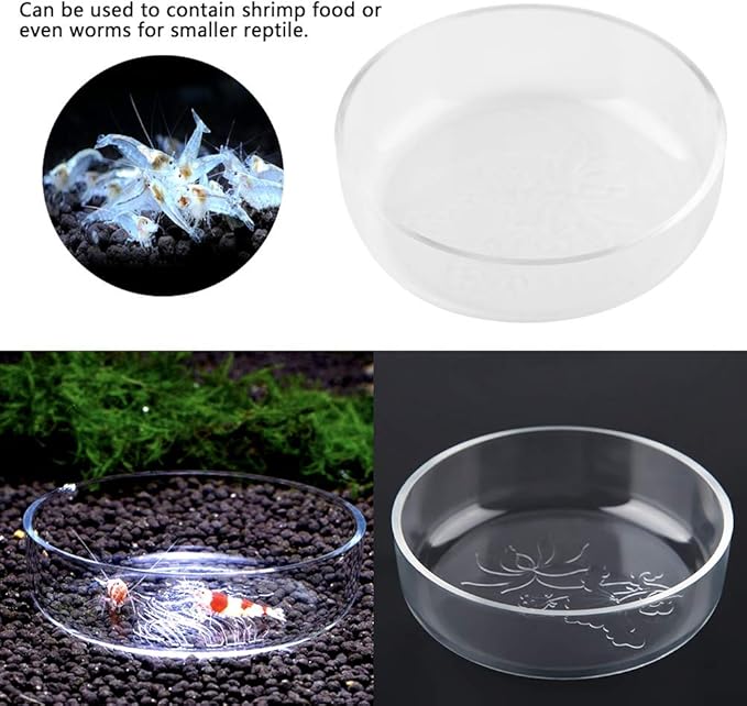 Acrylic Aquarium Shrimp Feeding Dish Bowl, Transparent Fish Food Container Feeder Tray Smaller Reptile Pets Feeder Dish