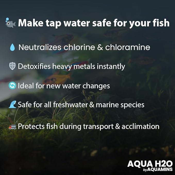 Aqua H2O – 250ml/8.45 fl oz