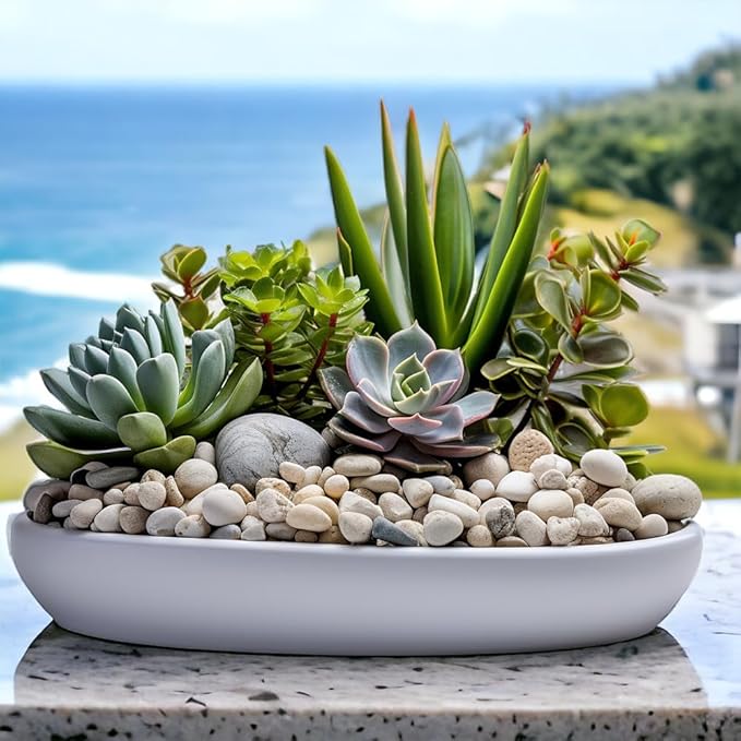 HappyFiller Natural Decorative White Pebbles Polished Rocks Stones for Aquarium Gravel,Fish Turtle Tank,Outdoor Indoor Succulents Plants Top Dressing,Graden Landscaping,18 LB