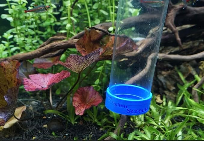 Chris's Aquatic Design Siphon Tube Screen for Aquarium Gravel Vacuums- Prevents Fish from Being Sucked Up During Water Change (Aqueon Mini)