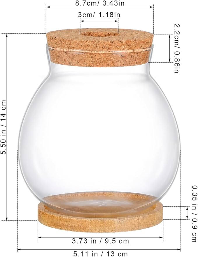 POPETPOP Desktop Glass Fish Bowl - Round Small Fish Tank with Wood Stopper & Bamboo Mat, Clear Glass Betta Fish Bowl for Succulent Plants, Hydroponic Air Plant (5.1X5.5 in)