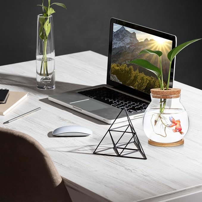 Balacoo Desktop Hydroponic Fish Bowl - Clear Glass Fish Tank with Bamboo Cushion and Wood Lid, Small Betta Fish Plants Terrarium for Home and Office Plant Decoration