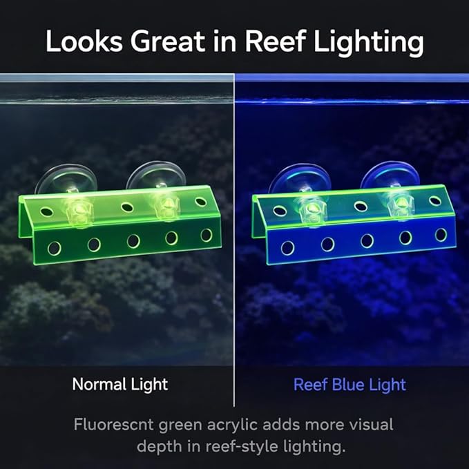kcrygogo Fluorescent Green Coral Frag Holder Acrylic Coral Rack with Powerful Double Suction Cup Suitable for Household Fish Tanks (10 Plug Holes)