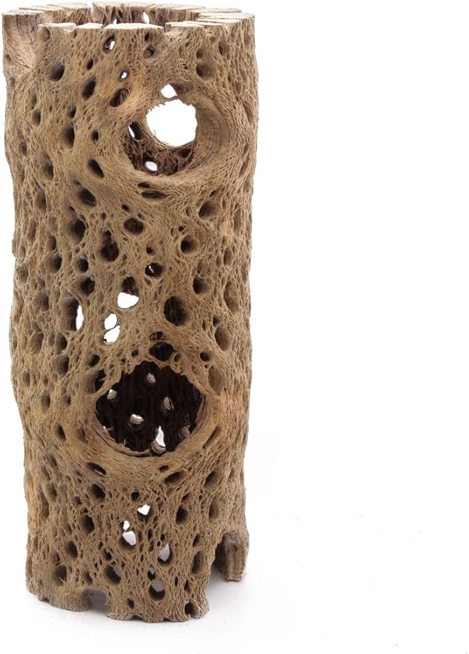 3 to 48 Inch All Natural Teddy Bear Cholla Wood Extra Hollow Large Untreated Organic Aquarium Driftwood Decoration Chew Toy Shrimp Crab Multi-Quantity