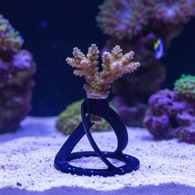 5 Pack Coral Frag Plug Sand Stands, Aquarium Sandbed Frag Rack Holder Mounts, Reef Tank Accessories for SPS LPS Zoanthid Corals, Secure Base Adapters (Black)