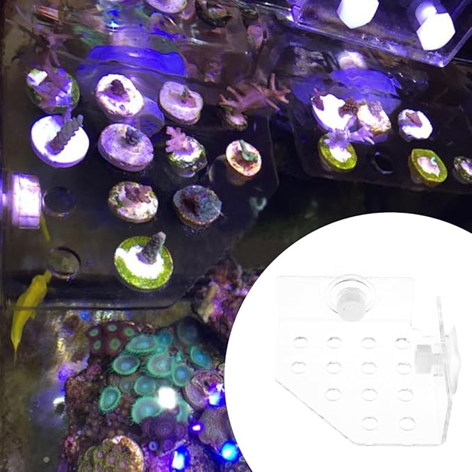 TEHAUX Coral Frag Holder Aquarium Coral Clip, No Slipping Fish Tank High Load-Bearing Capacity Acrylic Support Holder for Household Fish Tanks, White