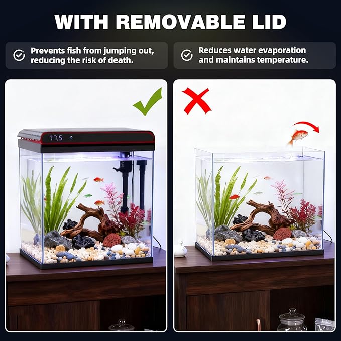 Coospider 5 Gallon Glass Fish Tank, Aquarium Starter Kit, Simpel Self-Cleaning Aquarium Kit with Ultra-Quiet Filter Pump, 3-Color LED Lights, Temp Monitoring for Fish, Shrimp, Kids Gift Ideas