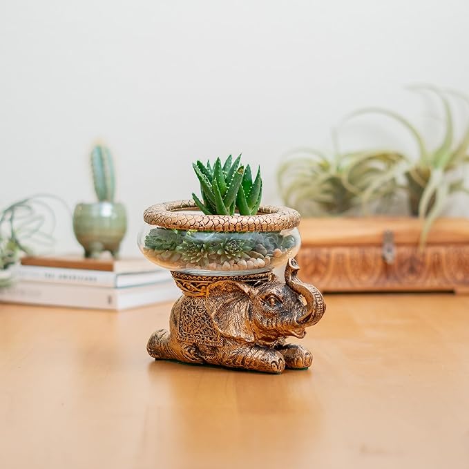 Good Luck Elephant Glass Bowl Gold Antiqued Polyresin Decorative Figurine with Removable Glass Bowl Terrarium, Candle Holder, or Tabletop Aquarium Home Decor with Gift Box