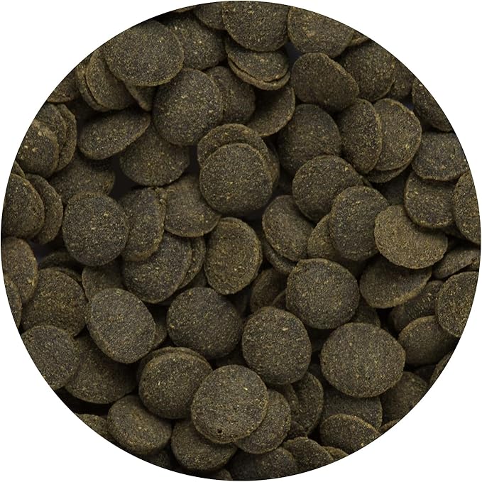 Hikari Tropical Mini Algae Wafers Fish Food, 3.0 oz (85g)