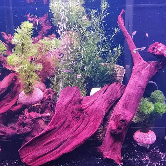 emours Driftwood Branches Reptiles Aquarium Decoration Assorted Size,(6-10 inch in Length),4 Pieces