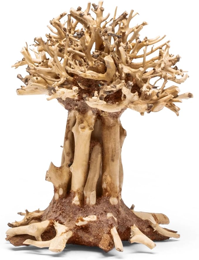 Ultum Nature Systems Bonsai - Handcrafted Hardscape Driftwood for Aquarium, Terrarium, Vivarium, Natural Aquascape Hardscape Decorations, Aquascaping Hardscape for Live Aquatic Plants - 007, Small