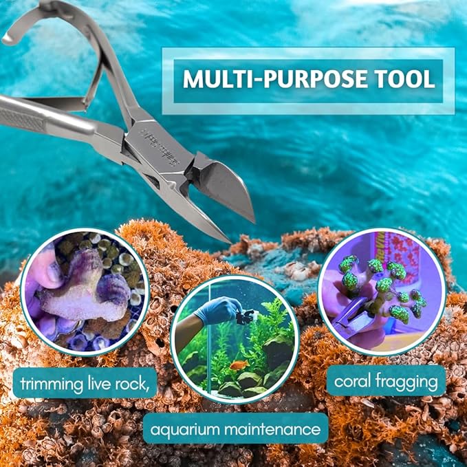 IMED SCIENTIFIC Marine Coral Reef Cutter Shears 6" Stainless Steel Trimmer with Spring Barrel for Fragging and Reef Aquarium Maintenance