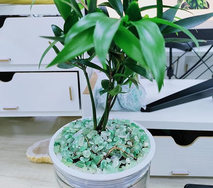 ZHIYUXI Green Aventurine Crystal Chips Bulk Fish Tank Gravel Vase Filler Stones Bulk Crushed Crystals Gemstone Polished Natural Quartz Stone Healing Crystals Glass Stones Fish Rocks