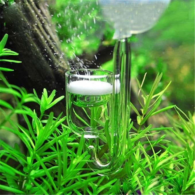 Aquarium Co2 System Diffuser Check Valve Set U Shaped Glass Tube Bend Accessory DIY Accessories