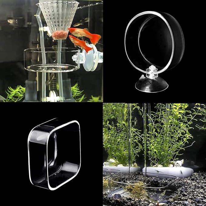 Aquarium Shrimp Feeder Dish Glass Fish Tank Feeding Bowls, 1pcs Round Glass Food Bowl (60mm), 2pcs Square Fish Feeding Bowls with Suction Cups (60mm)