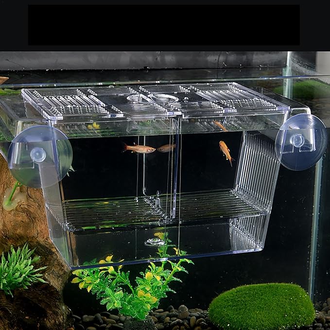 Fish Breeding Box - Fish Tank Divider Acclimation Box, Acrylic Hatchery Incubator Fish Tank | Fish Tank Breeder Box, Baby Fish Tank for Baby Fishes, Shrimp, Clownfish, Guppy, Aggressive Fishes