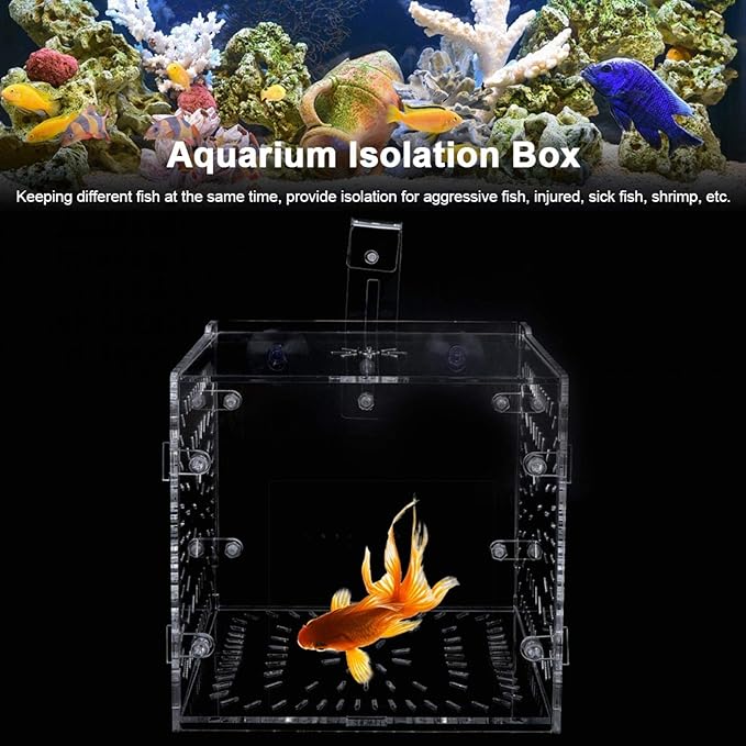 Aquarium Breeder Box for Fish Tank, Fish Breeding Box Tank Hatchery Incubator Aquarium Isolation Box for Seedlings Incubation(S)