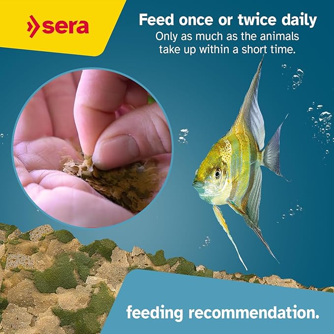 sera Vipan Tropical Flakes XL 7.4 oz. I Premium XL Staple Food for Ornamental Fish | Insect Meal & Prebiotic Effect | Free from Colorants and Preservatives | Perfect for Surface Feeders