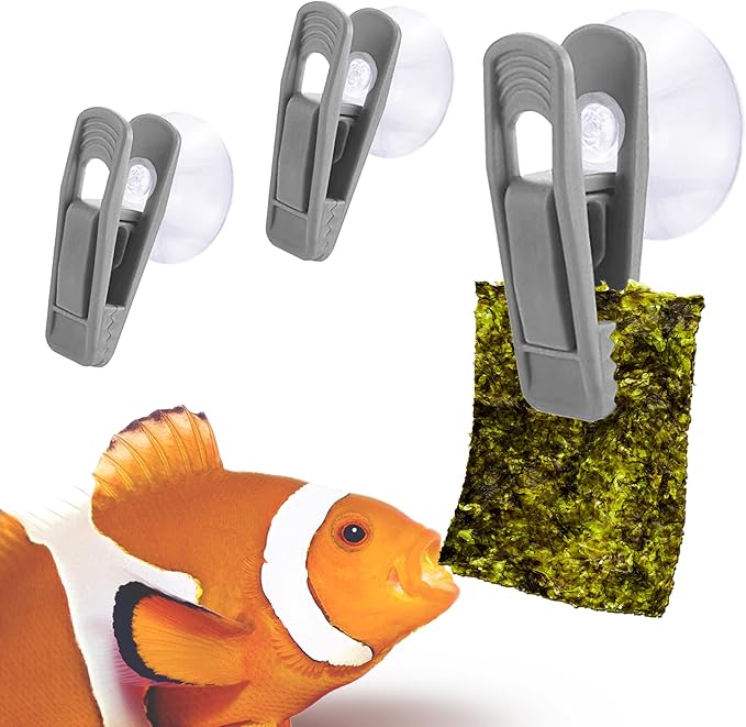 JOR Fish Veggie, Kelp, and Catappa Leaf Suction Cup Clip Feeder, Perfect for Bettas, Plecos, Snails, Shrimp, Release Beneficial Elements in Water, Turtles Love It, 3pcs