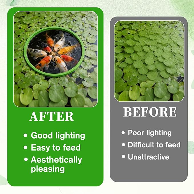 10 Pcs Fish Feeding Ring Set, 5 Sizes Floating Aquarium Feeding Ring, Round Feeder Rings Floating Plant Barrier Corral Rings Tank Accessories for Goldfish, Betta