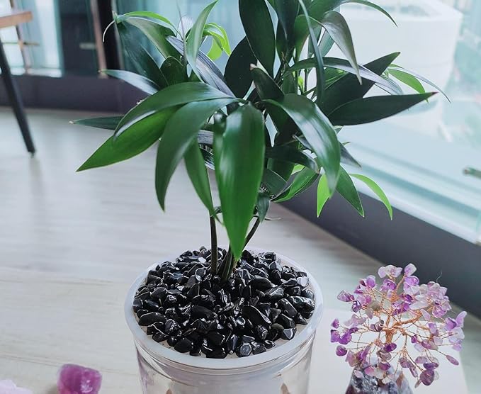 ZHIYUXI Obsidian Crystal Vase Filler Crystal Chips Stone for Decoration Succulent Plants Vase Fish Tank Gravel Crushed Crystals Chips Gemstone Polished Healing Crystals Quartz Home Decor Gem Stones