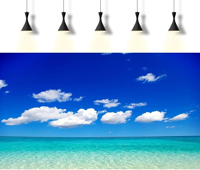 Ocean Sea Fish Tank Background Tropical Paradise Ocean Aquarium Background Sunny Seascape Terrarium Backgrounds Sunny Blue Sky Cloudy Seacoast Sandbeach Sea Waves Reptile Tank Backgrounds 30x18in