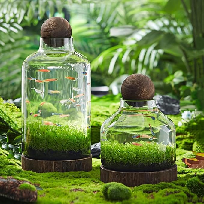 Glass Aquarium with Wooden Base, Microecosphere Fish Tank, Transparent Bottle-Shaped Batta Fish Bowel, Micro-Landscape Ecological Aquarium, Modern Glass Goldfish Tank,S
