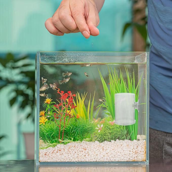 Beaupretty Aquarium Shrimp Feeding Dish with Suction Cup, Large Fish Feeder Ring for Fish Tank, Semi-Automatic Acrylic Feeder Suitable for Guppies and Aquarium Supplies