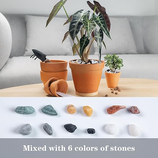 5lb Pea Silica Gravel Decorative Rocks, No Wax Pebbles Ideal for Fish Tank, Vases, Succulents, Home Decor and Garden Landscaping, Countryside Silica Gravel