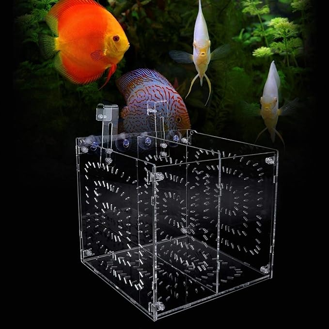 Aquarium Breeder Box for Fish Tank, Fish Breeding Box Tank Hatchery Incubator Aquarium Isolation Box for Seedlings Incubation(L)
