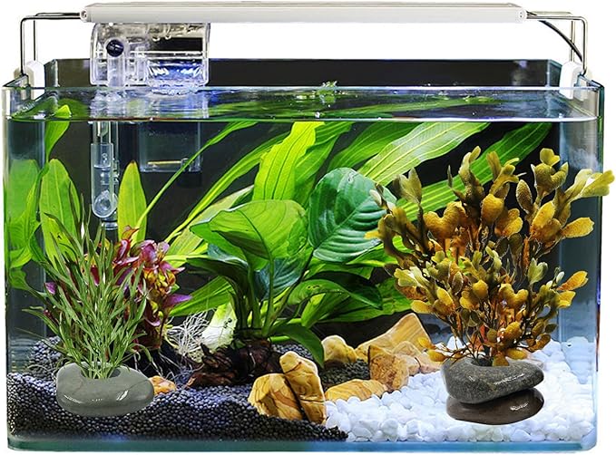 6 Pcs Natural River Stone Plant Weights for Fish Tank, Pebble Aquatic Plants Fixed Ring, Unique Anti-Floating Decorative River Rock Anchors for Aquarium Landscape Decoration (0.79'' Hole Diameter)