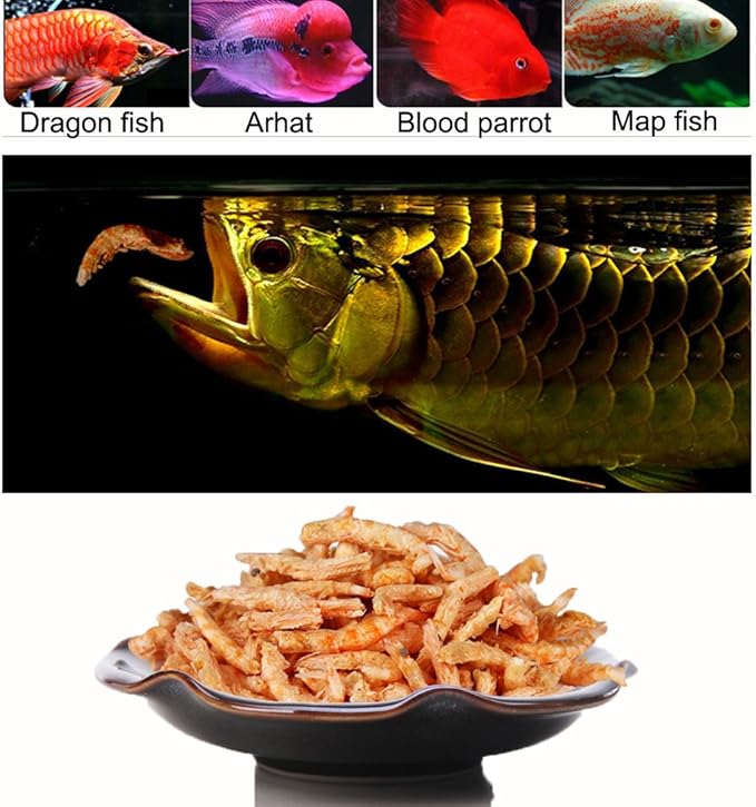 3000ml Fish Food Aquarium Pond Fish Food Arowana Food Floating Shrimp Freeze Dried Krill Carnivore Koi Tropical Cichlid Turtle (3000ml)