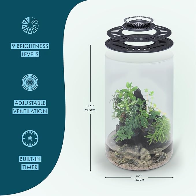 SubstrateSource Bio Cylinder - Glass Plant Terrarium Kit - Glass Terrarium w/LED Grow Light, Adjustable Ventilation Lid, Substrate, Moss & Accent Rocks - Bio Cylinder 150