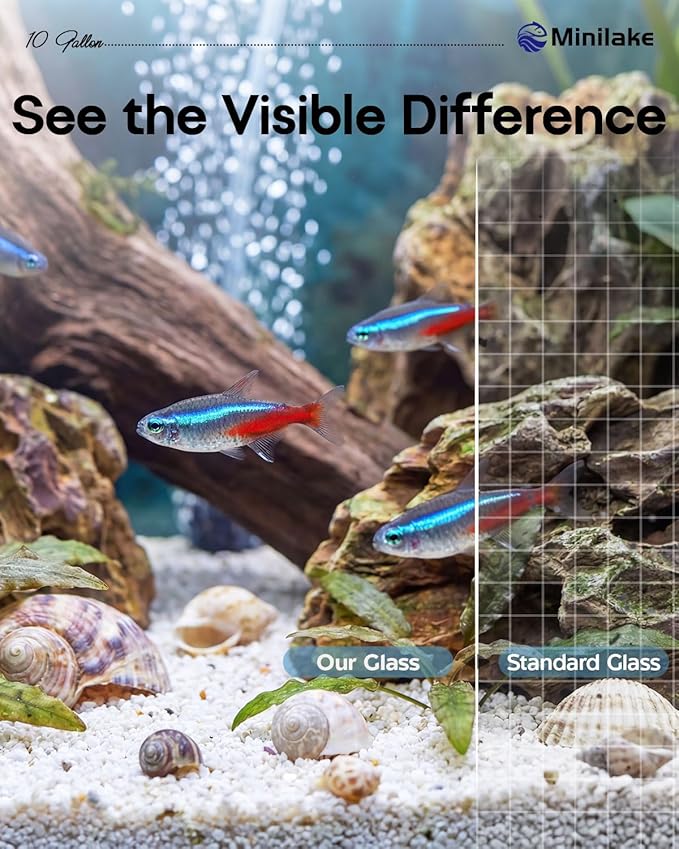 10 Gallon Ultra Clear Rimless Glass Fish Tank, Easy to Maintain Small Aquarium for Betta, Goldfish, Shrimp, Snails and Aquatic Plants