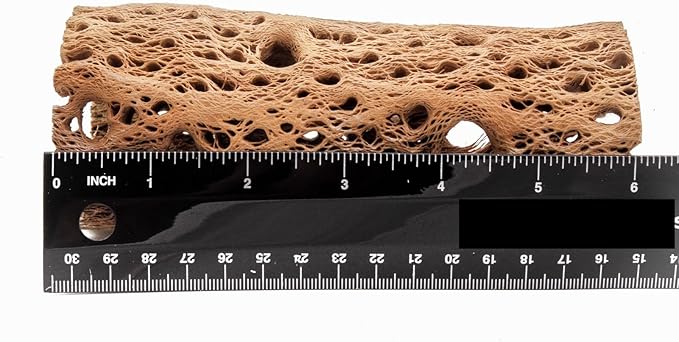 3 to 48 Inch All Natural Teddy Bear Cholla Wood Extra Hollow Large Untreated Organic Aquarium Driftwood Decoration Chew Toy Shrimp Crab Multi-Quantity