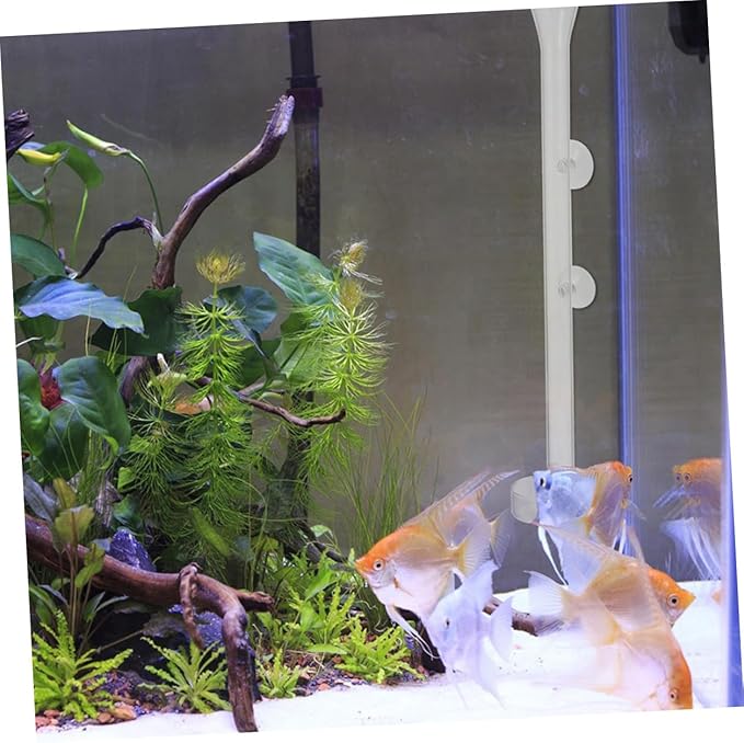 Milisten Acrylic Aquarium Fish Feeder with 2cm Diameter Feeding Tube and 45cm Height, Shrimp Feeding Tray for Fish Tank, Automatic Shrimp Feeder for Aquarium Pets
