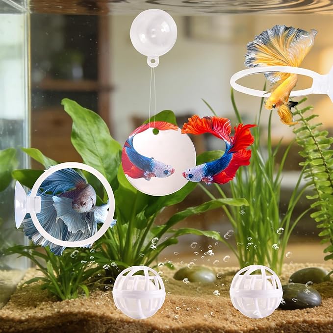 Betta Fish Toys, 2 PCS Fish Exercise Ring and Nitrifying Balls Set, Betta Mirror Toy Set, Feeding Ring with Suction Cup, Fishing Tank Accessories for Gifts (White)