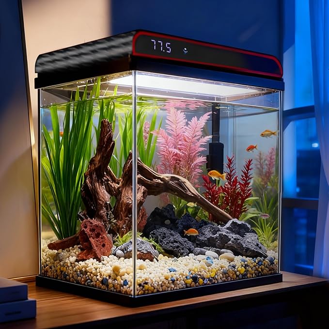 Coospider 5 Gallon Glass Fish Tank, Aquarium Starter Kit, Simpel Self-Cleaning Aquarium Kit with Ultra-Quiet Filter Pump, 3-Color LED Lights, Temp Monitoring for Fish, Shrimp, Kids Gift Ideas