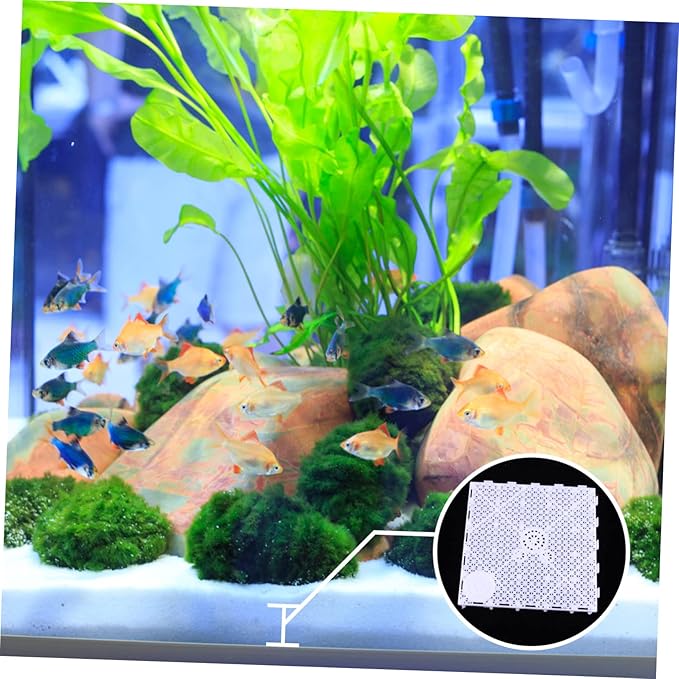 Happyyami 10pcs Aquarium Isolation Plates Sand Divider Board for Fish Tank for Enhanced Water Permeability Smooth Cutting Easy to Use