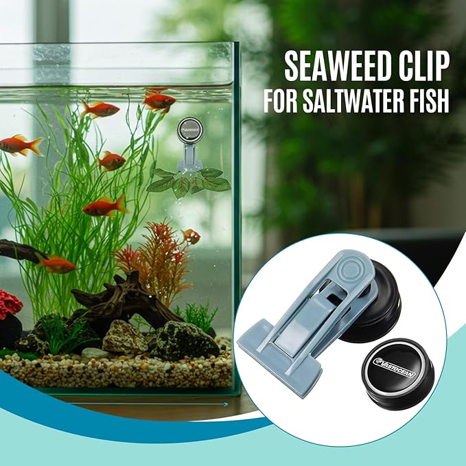 Blulu 2 Pcs Magnetic Seaweed Feeding Clips Saltwater Aquarium Tank Accessories Algae Magnet Seaweed Feeder for Fish and Aquatic Pets, Automatic Fish Feeder