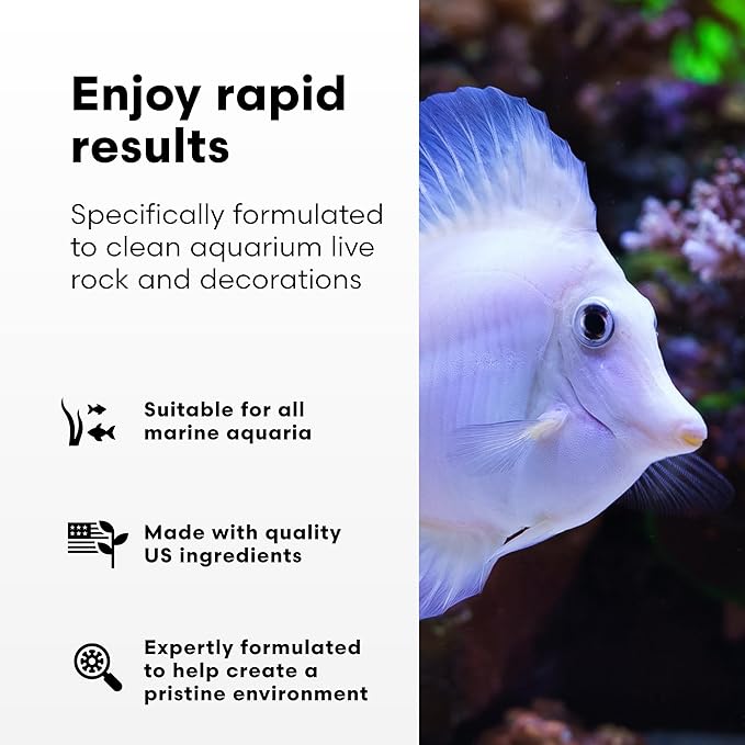 Brightwell Aquatics MicroBacter Clean - Microbial Culture & Enzyme Blend Fish Tank Cleaner - Cleans Live Rock Surfaces for Saltwater Fish Habitats - Aquarium Water Treatments, 67.6 fl oz