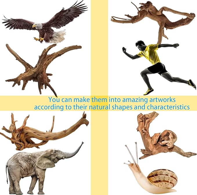 Vmiapxo 8 Pieces Natural Driftwood for Aquarium Decor, Assorted Sinkable Spider Wood, Reptile Drift Wood Branches Fish Tank Decorations (3.15''-4'')