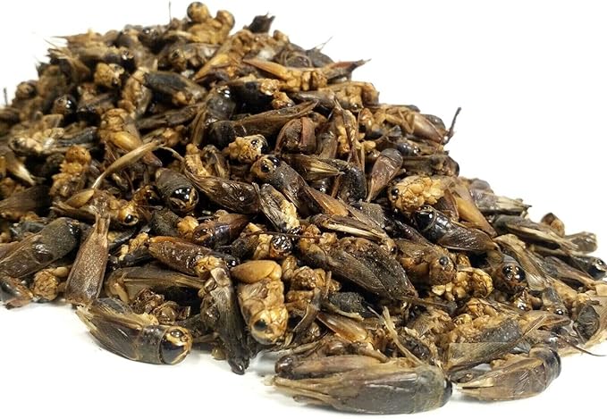 Crickets - Freeze Dried Crickets for Tropical Fish, Reptiles, Turtles, Tortoises Frogs, Hamsters, Birds, Rodents…1-lb Lg Jar