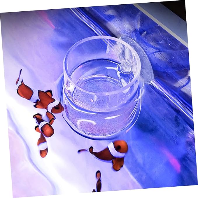 TOYANDONA Acrylic Aquarium Fish Feeder with Suction Cup 30mm Filter Mesh Feeding Ring for Small Fish Tank Automatic Feeding Accessory for Guppy