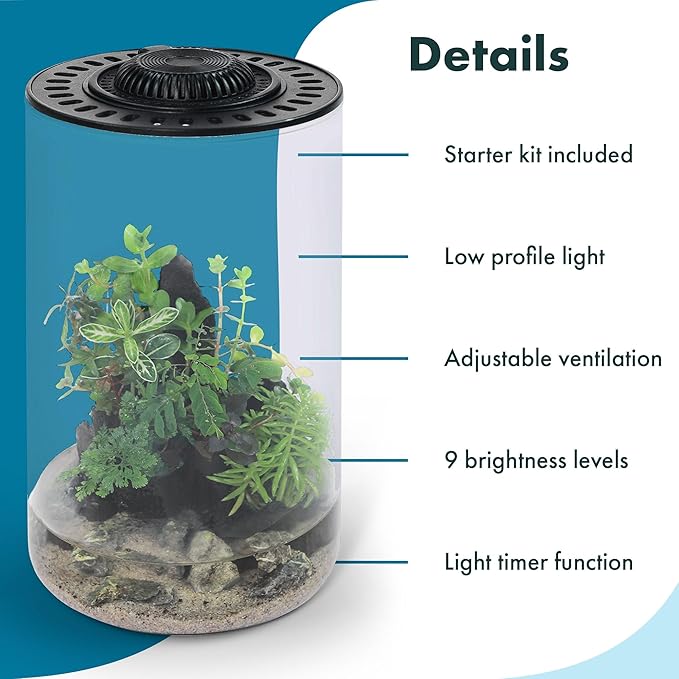 SubstrateSource Bio Cylinder - Glass Plant Terrarium Kit - Glass Terrarium w/LED Grow Light, Adjustable Ventilation Lid, Substrate, Moss & Accent Rocks - Bio Cylinder 150