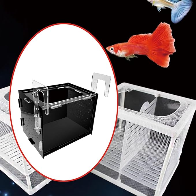 Fish Breeder Box Isolation Box Transparent Separator Easy Installation Hatchery Incubator for Baby Fish Betta Guppy, 30x20x20cm