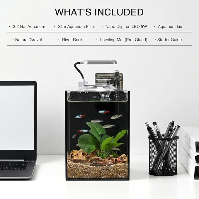 2.2 Gallon Betta Fish Tank, Small Aquarium Kit,Glass Small Fish Tank,Betta Fish Tank with a lid and Light and Filter, Small Transparent Glass Fish Tank with Light and Filter(Black Glass Background)